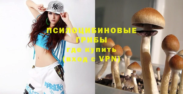 Альфа ПВП Костерёво