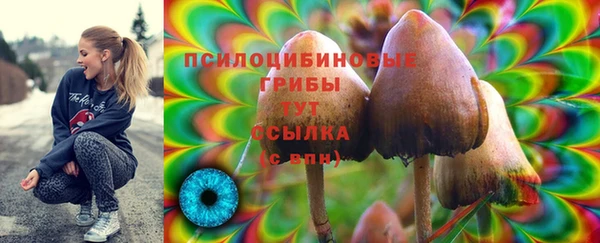 прущий лед Иноземцево