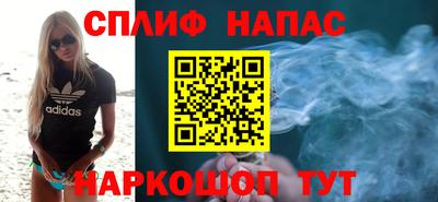 гашик Бузулук