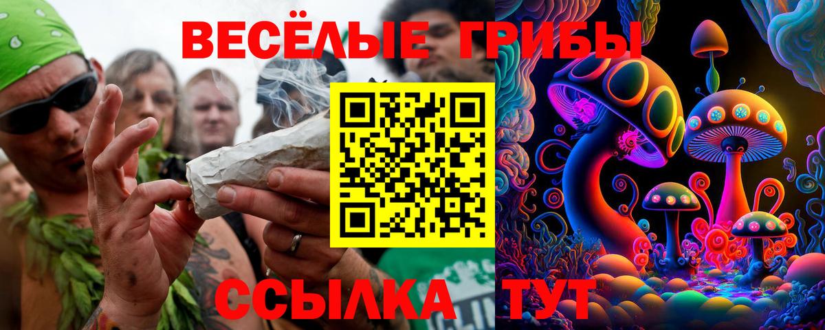 Псилоцибиновые грибы мицелий  Галлюциногенные грибы GOLDEN TEACHER  Долгопрудный  Вход с VPN 